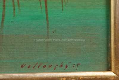  / Rašeliniště / Josef Velčovský