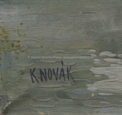  / Lesní jezero / Karel Novák