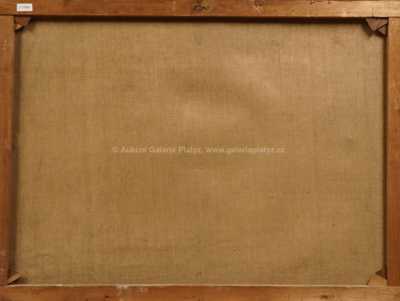  / Lesní jezero / Karel Novák