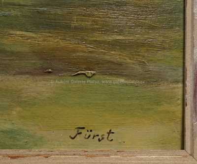  / Břízy u rybníka / Jindřich Fürst