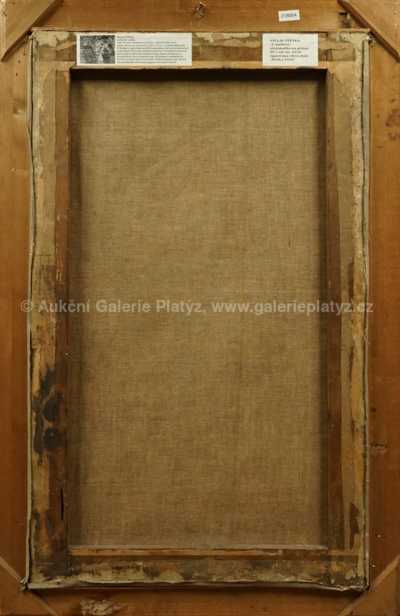  / Akt dívky / Václav Štětka