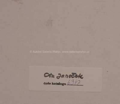  / Akt / Ota Janeček