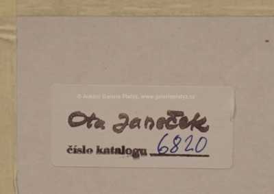  / Jana chodí s Vaškem / Ota Janeček