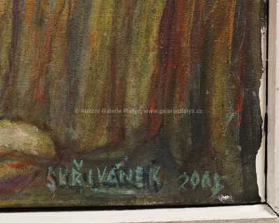  / Z Káhiry / Jaromír Skřivánek