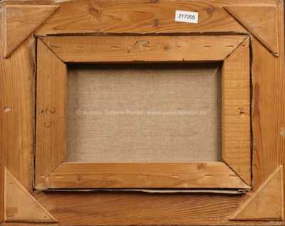  / Divoká říčka / Marie Passerová