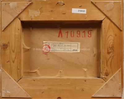  / Pohled na Karlův most / Ferdinand Kotvald