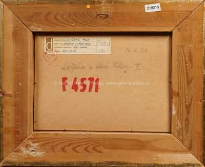  / Lučnice u Staré Hlíny / František Líbal