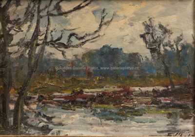  / Lučnice u Staré Hlíny / František Líbal