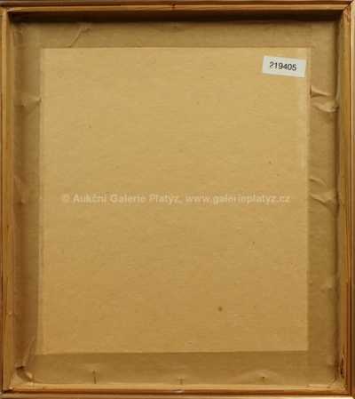  / Coyote Tunnel / Ota Janeček