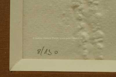  / Evo!Evo!Evo! / Olbram Zoubek