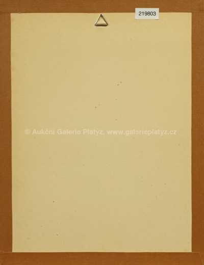  / Evo!Evo!Evo! / Olbram Zoubek