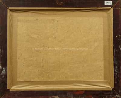  / Dostihy / Josef Brož