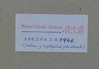  / Figura / František Gross