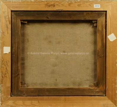  / Cesta z pole / Josef Matička