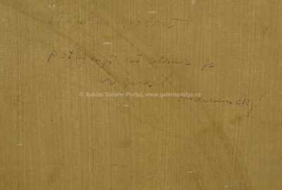  / Předjaří na Vysočině / Josef Jiří Kamenický