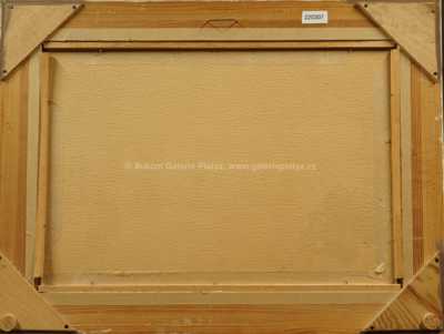  / Rozkvetlá zahrada / Ludvík Kuba