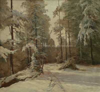  / Zimní les / František M. Skula