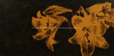  / Lilie / Jiří Georg Dokoupil