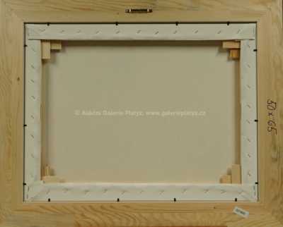  / Trvale obnovitelné zdroje / František Ringo Čech