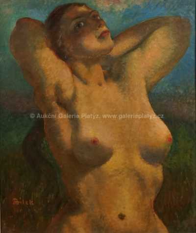  / Akt dívky / Alois Bílek