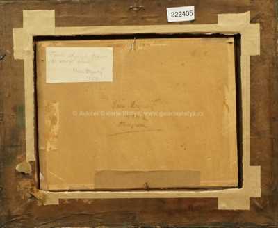  / Dóžecí palác s kostelem Santa Maria della Salute / Jan  Zrzavý