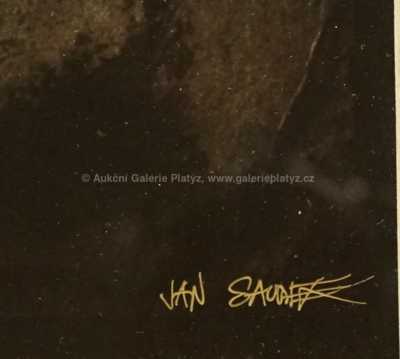  / The Mother / Jan Saudek