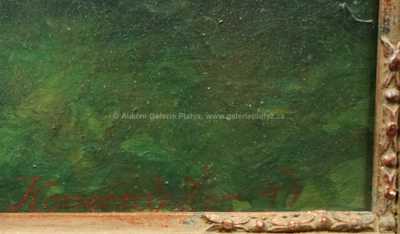  / Dívka s květinou / Josef  Konečný Žar