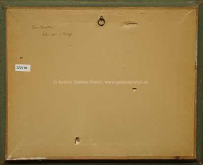  / Letní den v Podyjí / Roman Havelka