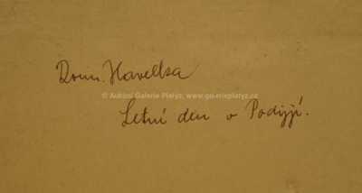  / Letní den v Podyjí / Roman Havelka