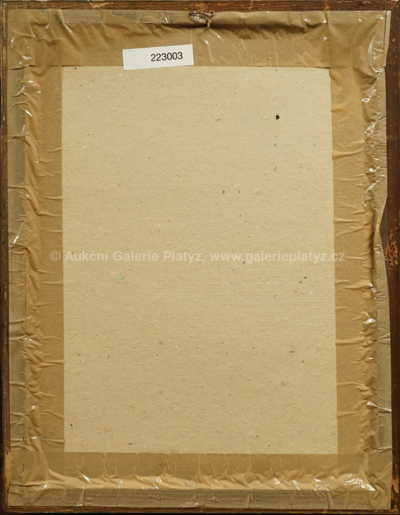  / Rudolfínská Praha / Oldřich Kulhánek