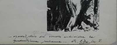  / Odkaz lovce tajgy / Zdeněk Burian