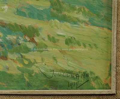  / Rozkvetlý sad / Josef Ullmann