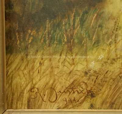  / Dívky a kozel / Rainhold Justich