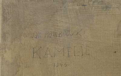  / Kamélie / Jan Rambousek