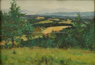  / Sliač / Alois Tužinský (Tužina)