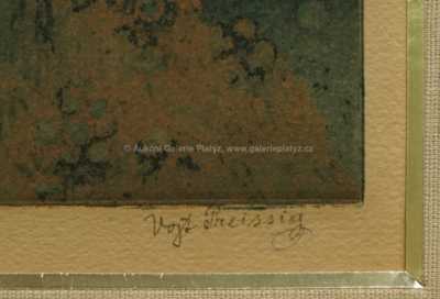  / Podvečer / Vojtěch Preissig