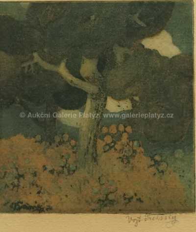  / Podvečer / Vojtěch Preissig