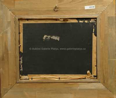  / Po dešti / Josef Ullmann