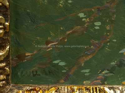  / Po dešti / Josef Ullmann