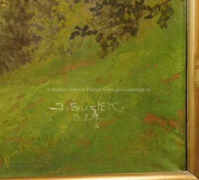  / Pražský hrad / J. Šustek