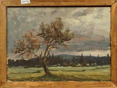  / Konvolut dvou kusů / Josef Dvořák