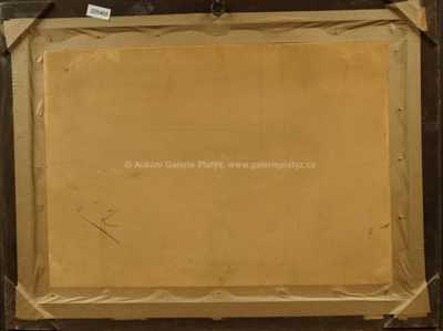  / Česká zima / Karel Jan Sigmund