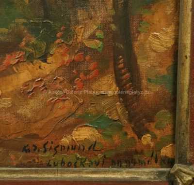  / Hluboký les / Karel Jan Sigmund