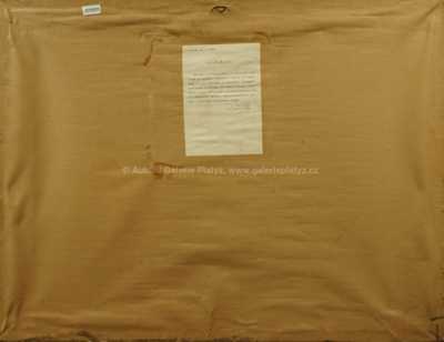  / Pohled na Pražský hrad / Jar. Procházka