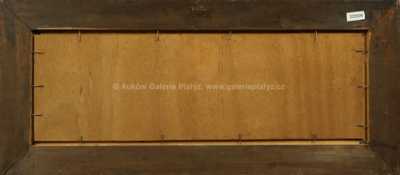  / Čtenářka / Rudolf Vojtěch Špillar