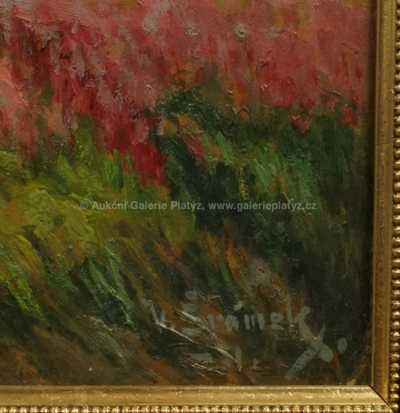  / Rozkvetlá louka / Václav Šrámek