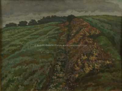  / Kvetoucí mez / Rudolf Bém (Vratislav Hlava)