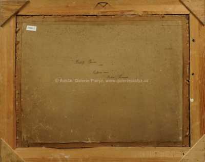  / Kvetoucí mez / Rudolf Bém (Vratislav Hlava)