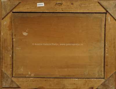  / Z jižních Čech / Václav Jansa