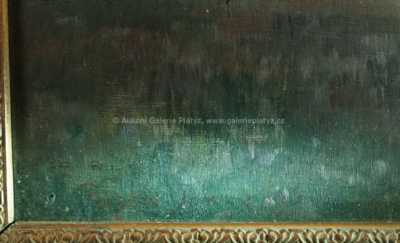  / Z jižních Čech / Václav Jansa